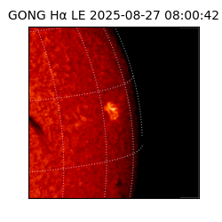 gong - 2025-08-27T08:00:42