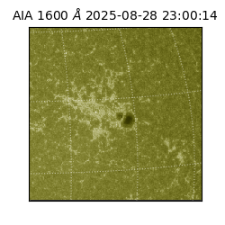 saia - 2025-08-28T23:00:14.130000