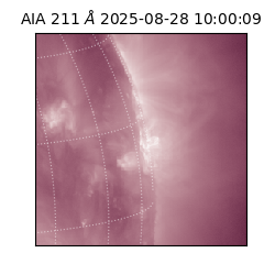 saia - 2025-08-28T10:00:09.626000