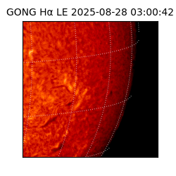 gong - 2025-08-28T03:00:42