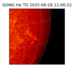 gong - 2025-08-28T11:00:22