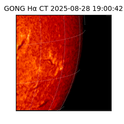 gong - 2025-08-28T19:00:42