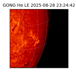gong - 2025-08-28T23:24:42