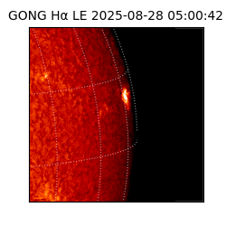 gong - 2025-08-28T05:00:42