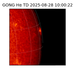 gong - 2025-08-28T10:00:22