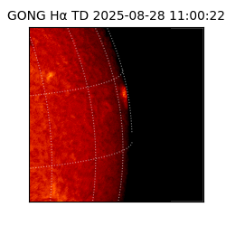 gong - 2025-08-28T11:00:22