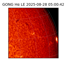 gong - 2025-08-28T05:00:42
