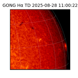 gong - 2025-08-28T11:00:22