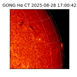 gong - 2025-08-28T17:00:42