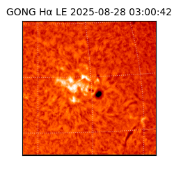 gong - 2025-08-28T03:00:42