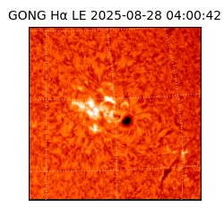 gong - 2025-08-28T04:00:42