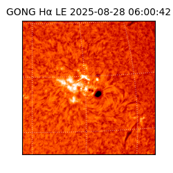 gong - 2025-08-28T06:00:42