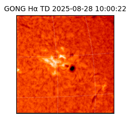 gong - 2025-08-28T10:00:22