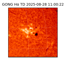 gong - 2025-08-28T11:00:22