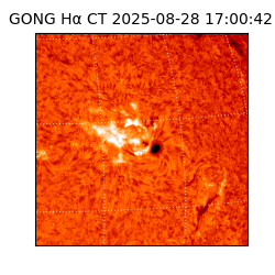 gong - 2025-08-28T17:00:42