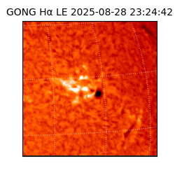 gong - 2025-08-28T23:24:42