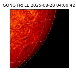 gong - 2025-08-28T04:00:42