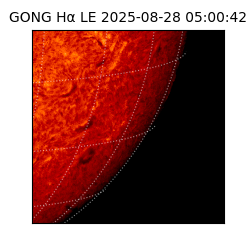 gong - 2025-08-28T05:00:42