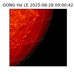 gong - 2025-08-28T09:00:42