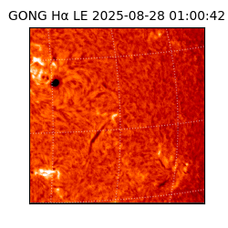 gong - 2025-08-28T01:00:42