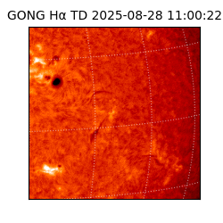 gong - 2025-08-28T11:00:22