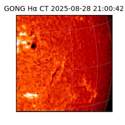 gong - 2025-08-28T21:00:42