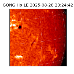 gong - 2025-08-28T23:24:42