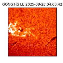 gong - 2025-08-28T04:00:42