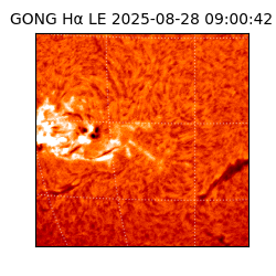 gong - 2025-08-28T09:00:42