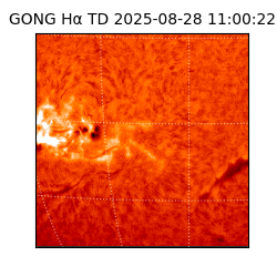 gong - 2025-08-28T11:00:22