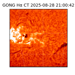 gong - 2025-08-28T21:00:42