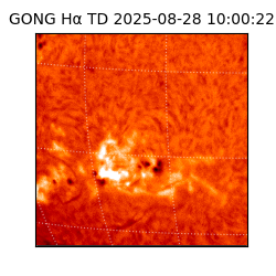 gong - 2025-08-28T10:00:22