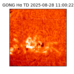 gong - 2025-08-28T11:00:22