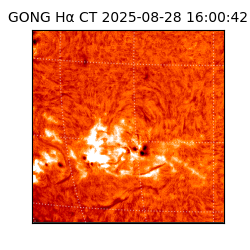 gong - 2025-08-28T16:00:42