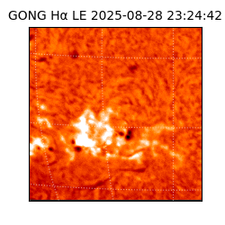 gong - 2025-08-28T23:24:42