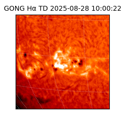 gong - 2025-08-28T10:00:22
