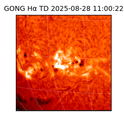 gong - 2025-08-28T11:00:22