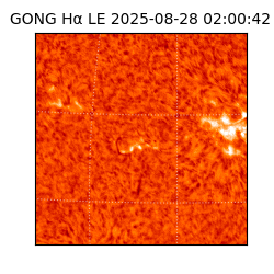 gong - 2025-08-28T02:00:42