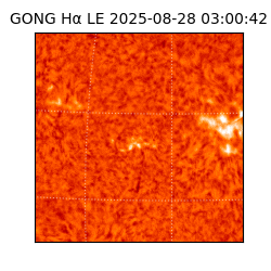 gong - 2025-08-28T03:00:42