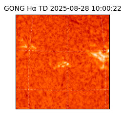 gong - 2025-08-28T10:00:22