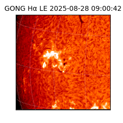 gong - 2025-08-28T09:00:42