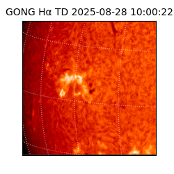 gong - 2025-08-28T10:00:22