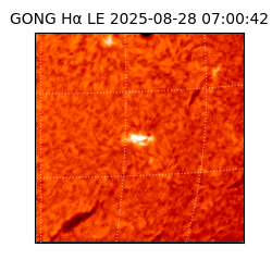 gong - 2025-08-28T07:00:42