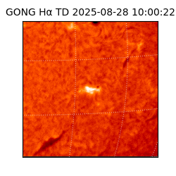gong - 2025-08-28T10:00:22