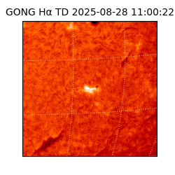 gong - 2025-08-28T11:00:22