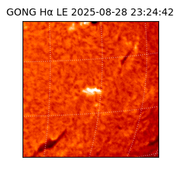 gong - 2025-08-28T23:24:42