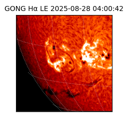 gong - 2025-08-28T04:00:42