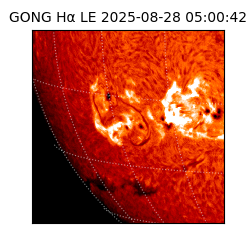 gong - 2025-08-28T05:00:42
