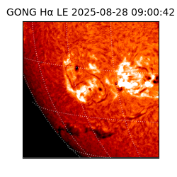gong - 2025-08-28T09:00:42