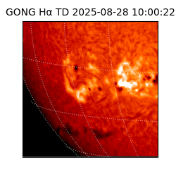 gong - 2025-08-28T10:00:22